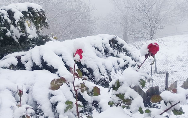Hava durumu – Dağlıq ərazilərdə qar yağacaq