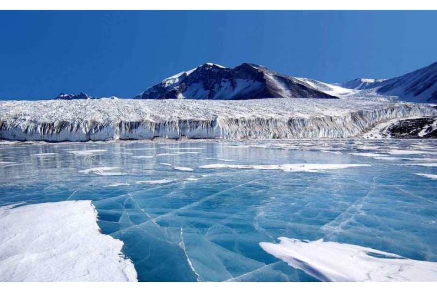 Antarktidada da koronavirusa yoluxma qeydə alındı