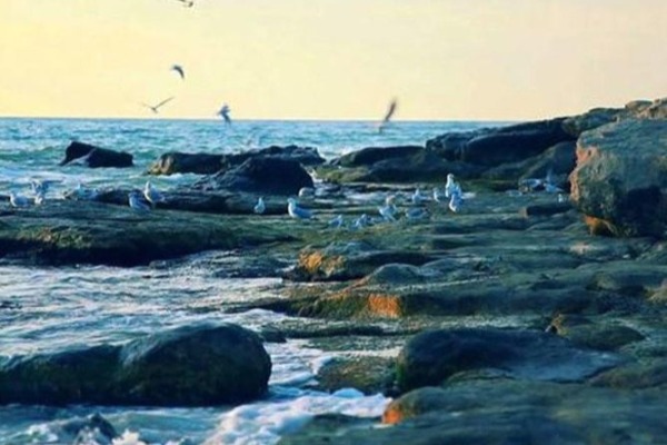 Xəzər dənizində gedən enmə prosesinin səbəbi