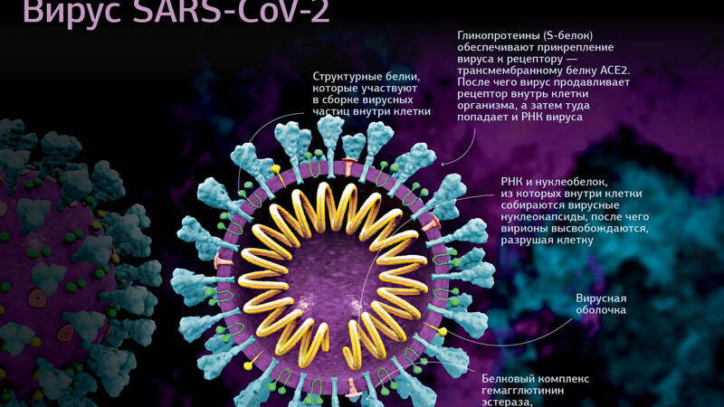 Yeni ştamm QAPIMIZI KƏSDİRDİ: Bu ölkədə üç nəfər yoluxdu