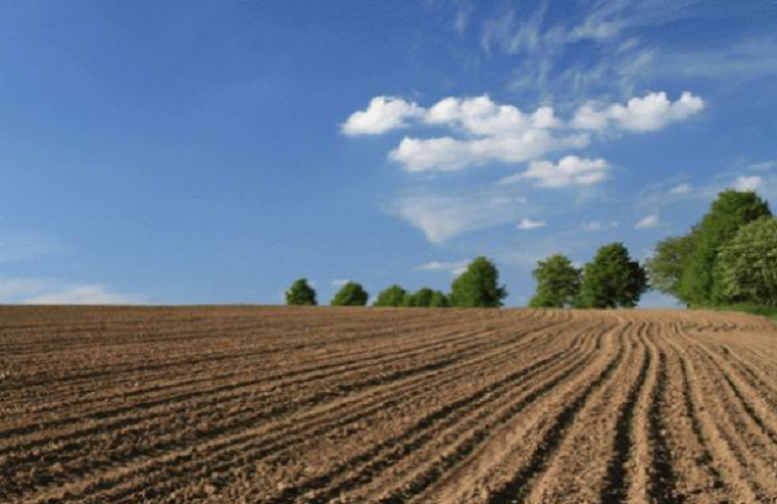    Qarabağda torpaq islahatları vacibdir, çünki…
