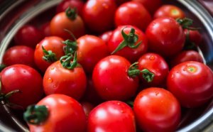 Azərbaycanın daha 8 müəssisəsi Rusiyaya pomidor ixrac edəcək