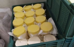 Süd məhsullarının istehsalı müəssisəsində nöqsanlar aşkarlandı