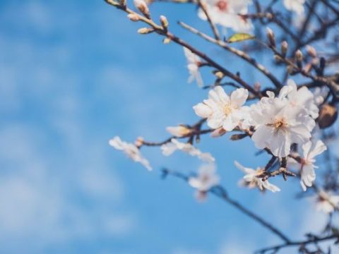 Mayda 35 dərəcə isti olacaq: Aylıq proqnoz