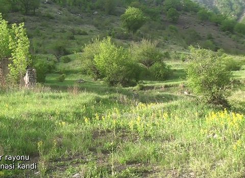 Kəlbəcərin Qasımbinəsi kəndindən görüntülər – VİDEO