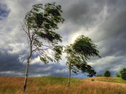 Küləkli hava nə vaxta qədər davam edəcək?