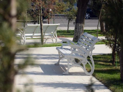 Gəncədə parka gedənlər şoka düşdü – Ağacdan asılmış meyit tapıldı