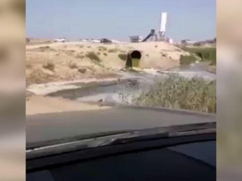 Çimərlikdə biabırçı mənzərə – VİDEO