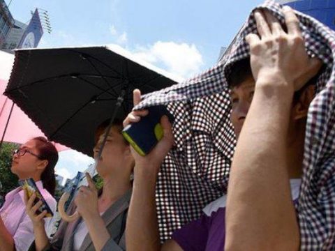 Hava rekord həddə istiləşəcək – Alimlərdən xəbərdarlıq