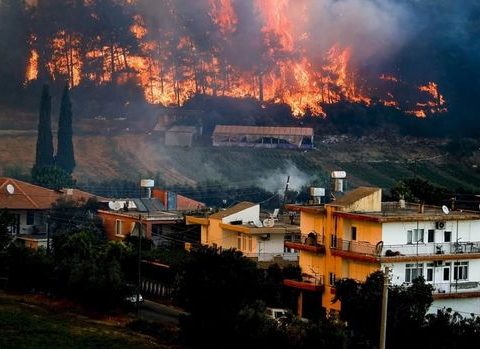 Türkiyədəki meşə yanğınlarında zərərçəkənlər arasında azərbaycanlılar var? – RƏSMİ