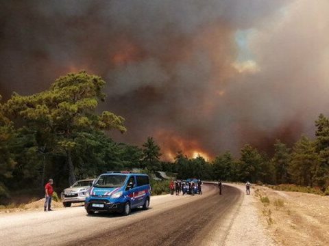 Türkiyədə daha bir güclü yanğın başladı