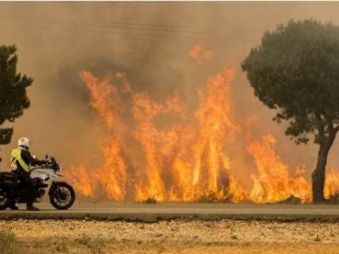 İspaniyanın bəzi əraziləri fəlakət zonası elan edildi