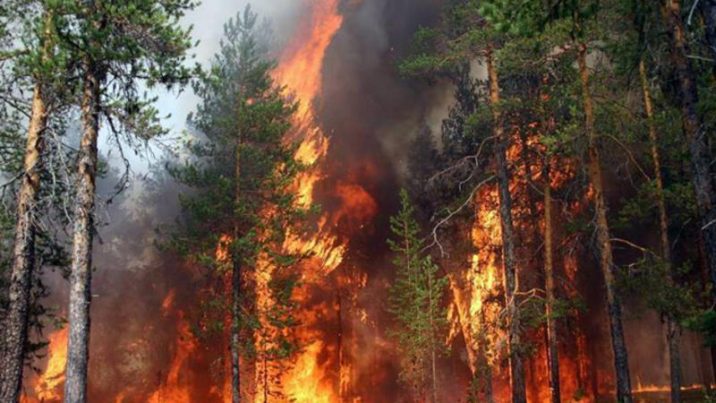 Qəbələdə dağlıq ərazidə yanğın başladı