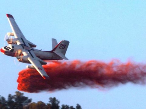 Türkiyədə amfibiya təyyarəsi qəzaya uğradı: 8 ölü – Video