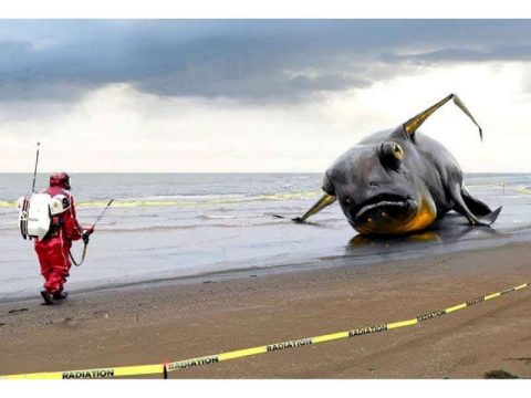 Dəniz sahillərində bu günə kimi aşkar edilmiş ən qəribə və müəmmalı tapıntılar