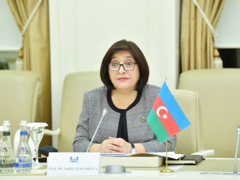 Sahibə Qafarova ATƏT PA-nın sədrinə etiraz etdi