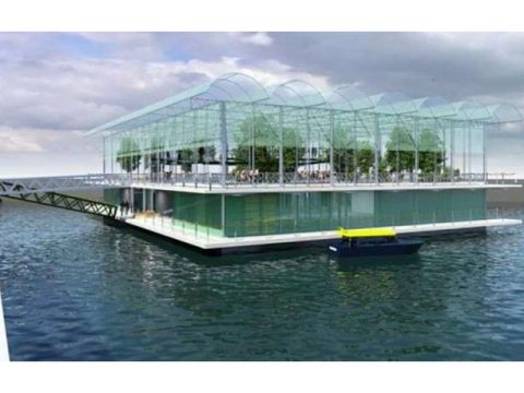 Niderlandda üzən ferma fəaliyyət göstərir