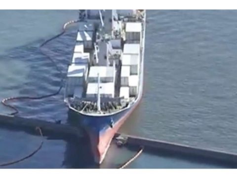 Banan yüklü “Lady Rosemary” gəmisi dalğaqırana çırpılıb