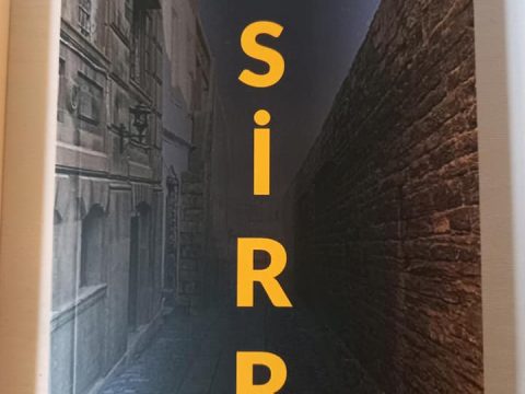 Təranə Məmmədin “Sirr” adlı ilk romanı işıq üzü gördü…