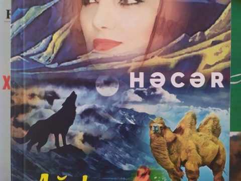 “Ağ dəvə düzdə qaldı” deyərək AMEA-nın əsas binasına dəvət var…