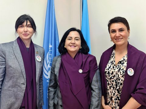 Kənd qadınlarımız BMT-nin diqqətində