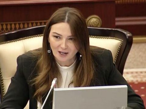 Bu görüş İrəvanda təlaş yaratdı