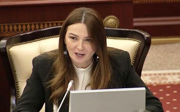 Bu görüş İrəvanda təlaş yaratdı