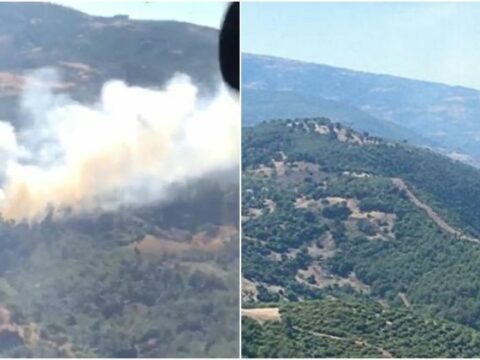 Türkiyədəki meşə yanğınları nəzarətə alındı