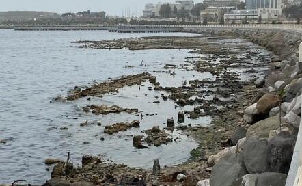 Xəzərin səviyyəsinin dəyişməsin nə ilə bağlıdır? – Nina Zayseva aydınlıq gətirir