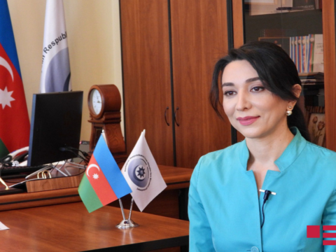 Ombudsman Ermənistanın son təxribatı ilə əlaqədar bəyanat yayıb