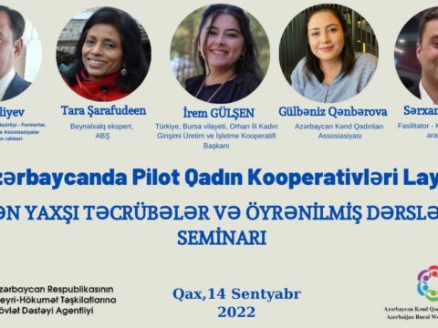 AZƏRBAYCANDA PİLOT QADIN KOOPERATİVLƏRİ YARADILACAQ