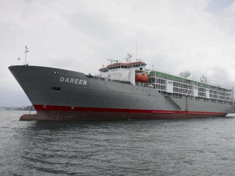 Yeni Zelandiyada gəmilərlə mal-qara daşınmayacaq