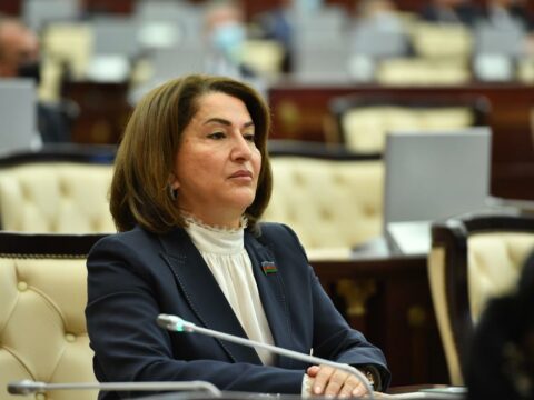 “Milli Məclis islahatlara öz töhfəsini vermək istiqamətində ciddi işlər həyata keçirir”