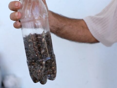 AQTA-ya sərt tənqid: “Bu, 60-70-ci illərin primitiv dezinfeksiya üsullarıdır!”