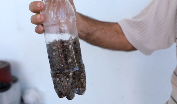 AQTA-ya sərt tənqid: “Bu, 60-70-ci illərin primitiv dezinfeksiya üsullarıdır!”