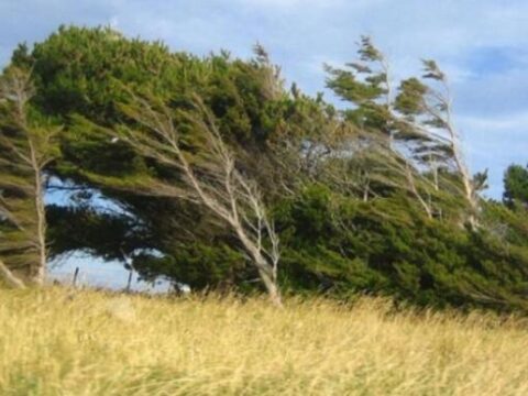 Güclü külək əsəcək – Xəbərdarlıq