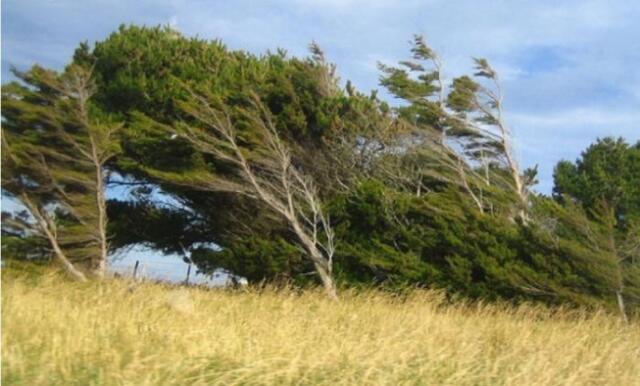 Güclü külək əsəcək – Xəbərdarlıq