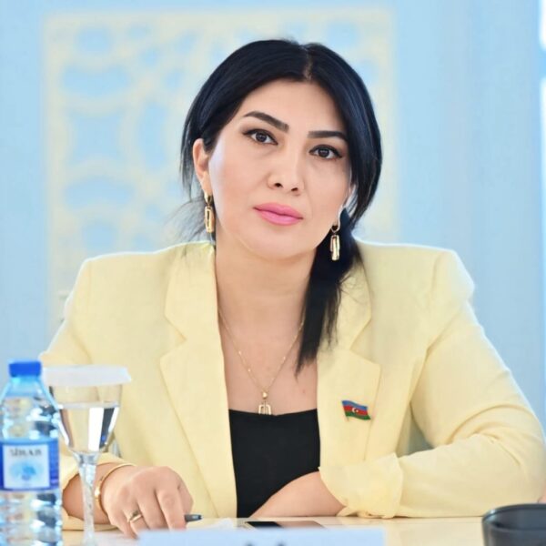 Bir stəkan su ilə dünyaya diplomatiya dərsi -Elnarə Akimova yazdı Bir stəkan su ilə dünyaya diplomatiya dərsi -Elnarə Akimova yazdı