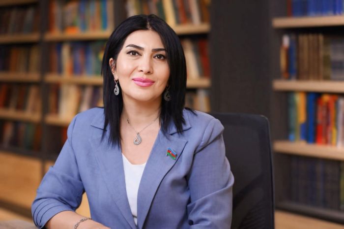 Yüz yaşlı əbədiyyət yolçuları – Elnarə AKİMOVA yazdı