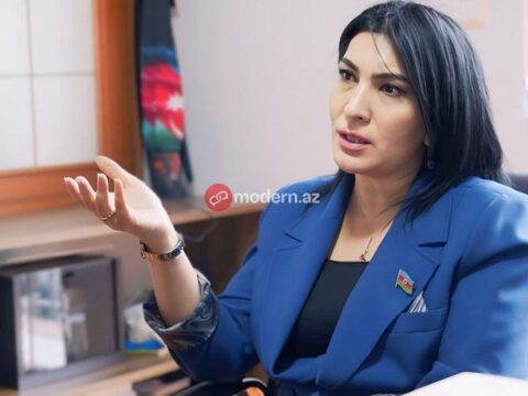 Deputatların da kitabına tənqidçi kimi yanaşacağam – MÜSAHİBƏ