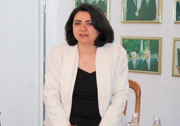 Yeni stimullaşdırma sistemi akademik mükəmməlliyə xidmət edir - Natəvan Namazova Yeni stimullaşdırma sistemi akademik mükəmməlliyə xidmət edir - Natəvan Namazova