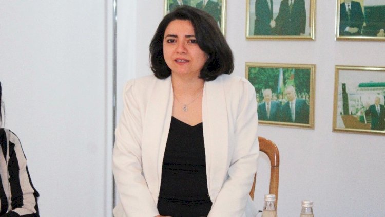 Yeni stimullaşdırma sistemi akademik mükəmməlliyə xidmət edir - Natəvan Namazova Yeni stimullaşdırma sistemi akademik mükəmməlliyə xidmət edir - Natəvan Namazova